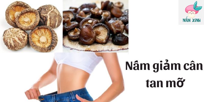 Nấm giảm cân tan mỡ