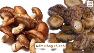 Nấm đông cô khô