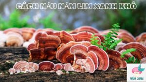 cách nấu nấm lim xanh khô