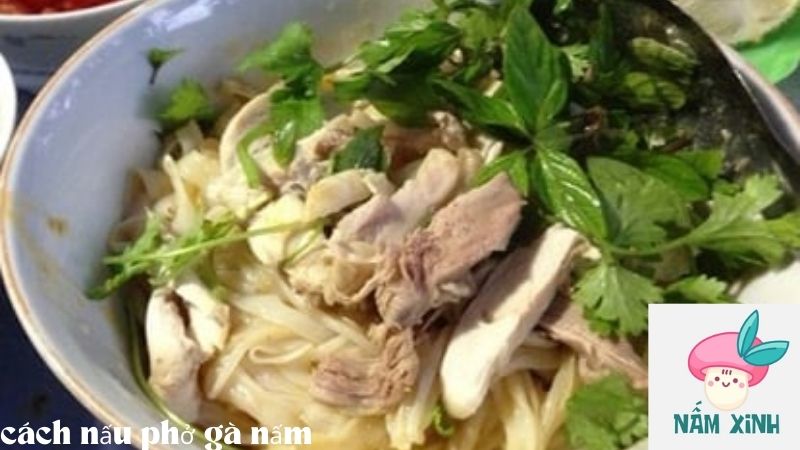 cách nấu phở gà nấm